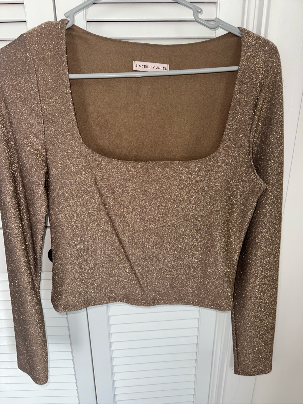 Sincerly Jules Shimmery Bronze Scoop Neck Long Sleeve Top
